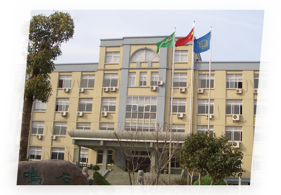 Ningbo Youwell AutoParts Technology Co., Ltd.